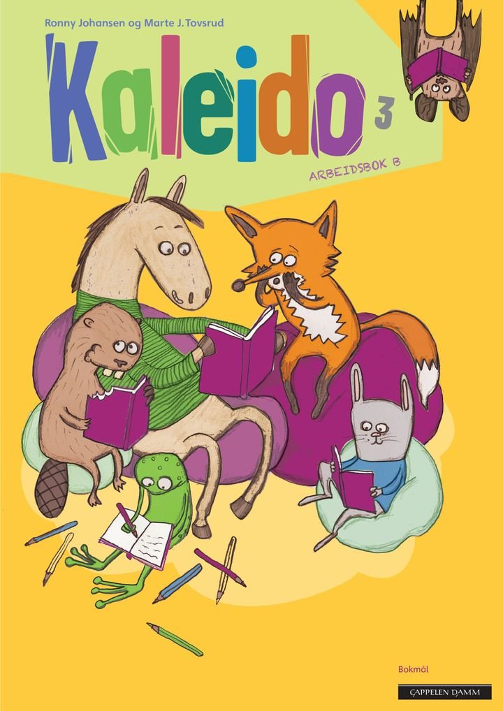 Kaleido 3 - Arbeidsbok B