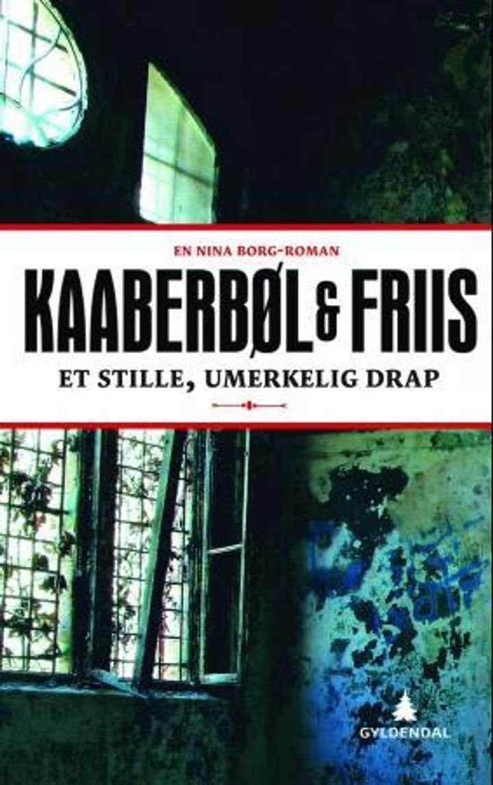 Et stille, umerkelig drap - en Nina Borg-roman