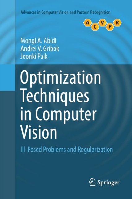 Optimization Techniques in Computer Vision