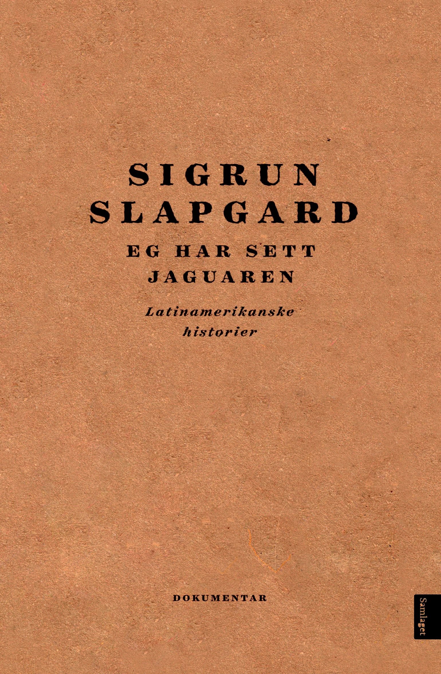 Eg har sett jaguaren - latinamerikanske historier : dokumentar
