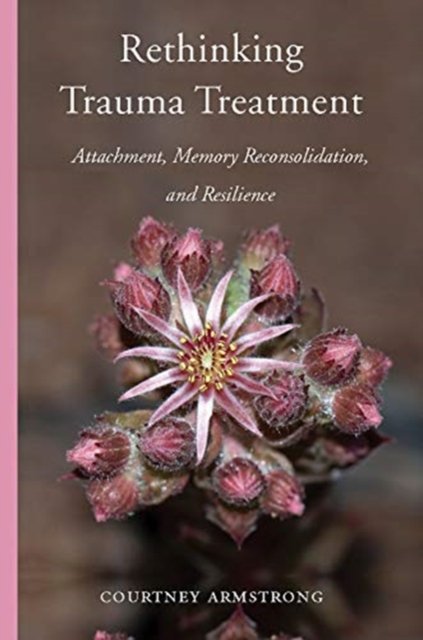 Rethinking Trauma Treatment – Attachment, Memory Reconsolidation, and Resilience
