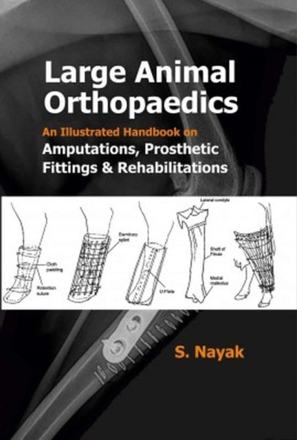 Large Animal Orthopedics