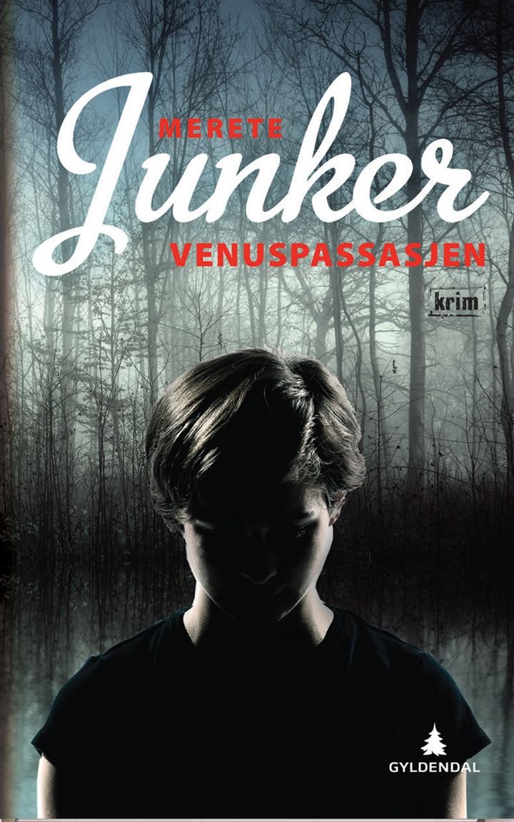 Venuspassasjen - kriminalroman
