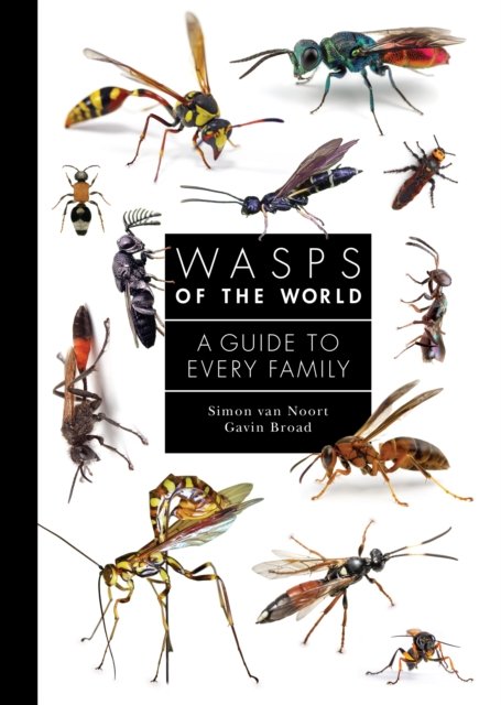Wasps of the World – A Guide to Every Family