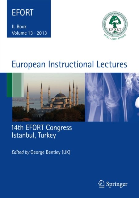 European Instructional Lectures