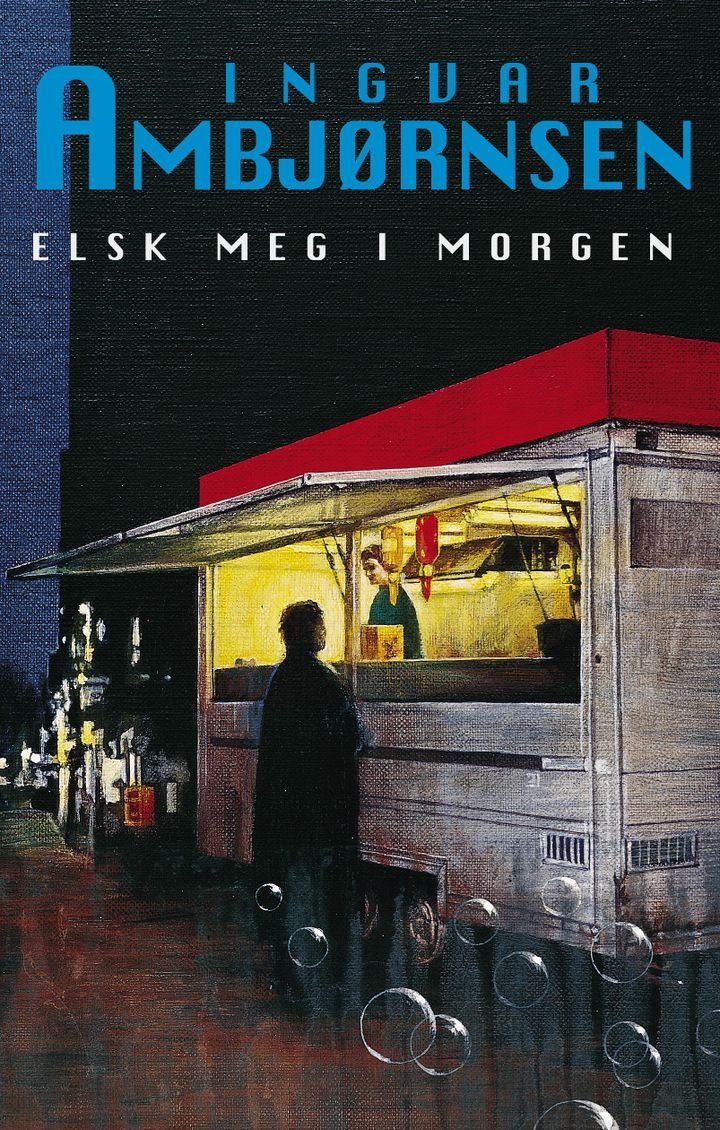 Elsk meg i morgen - roman