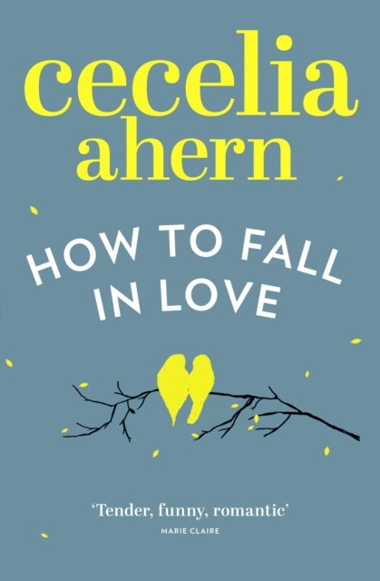 HOW TO FALL IN LOVE PB