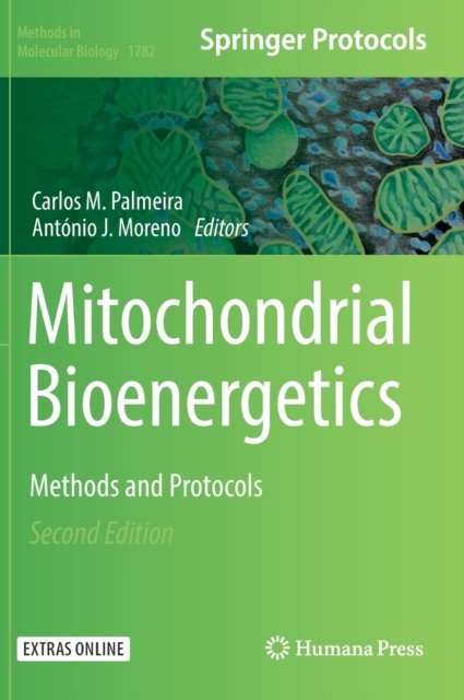 Mitochondrial Bioenergetics