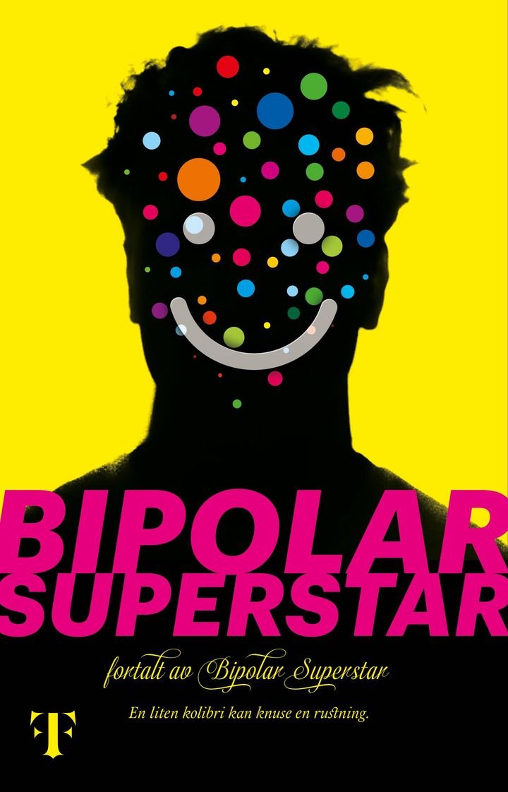 Bipolar Superstar - roman