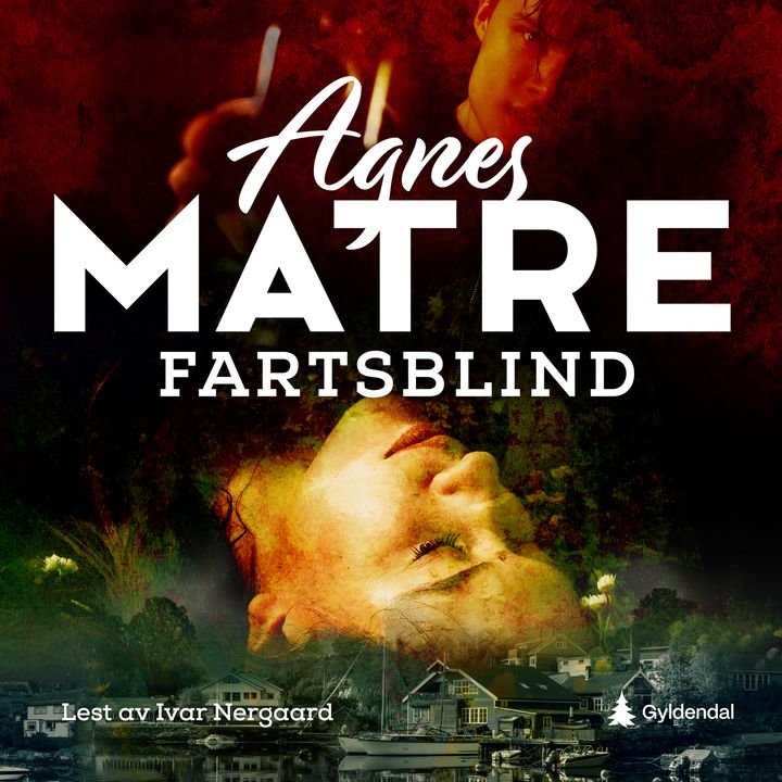 Fartsblind - kriminalroman