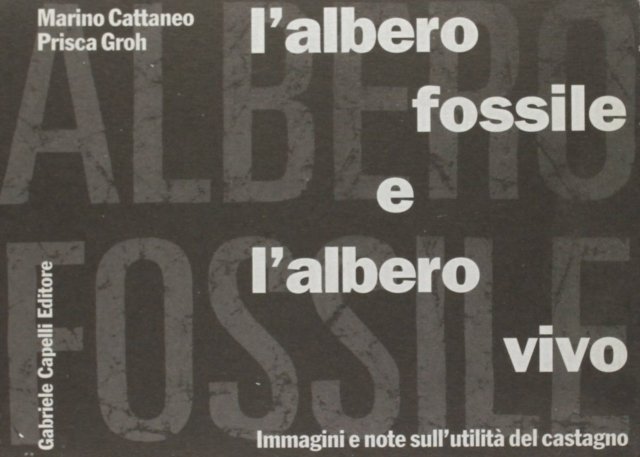 Albero Fossile E L'Albero Vivo