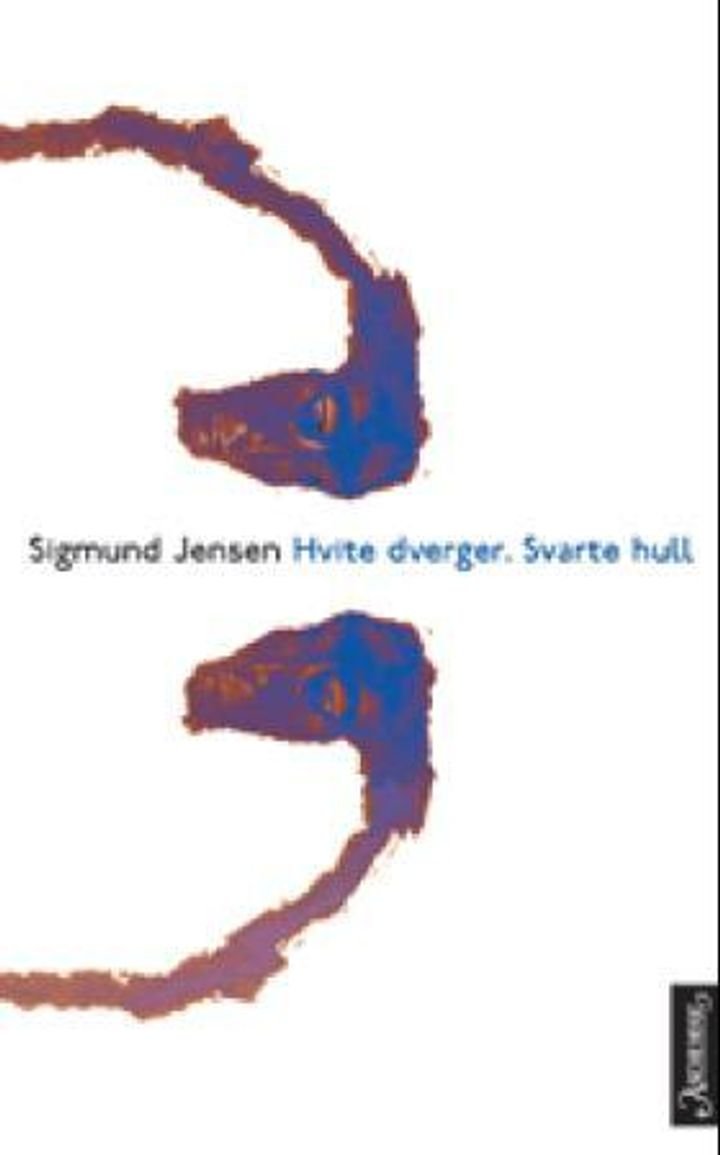 Hvite dverger, svarte hull - roman