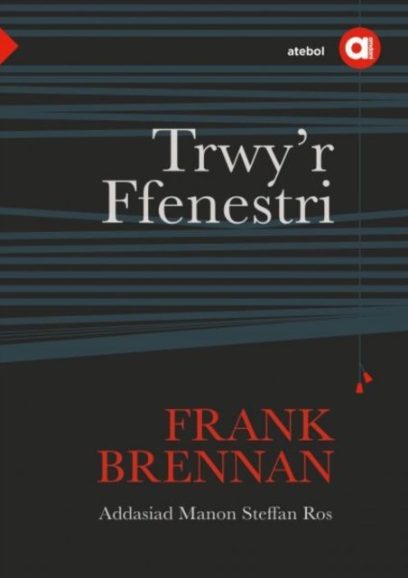 Cyfres Amdani: Trwy''r Ffenestri