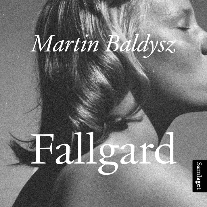 Fallgard - roman