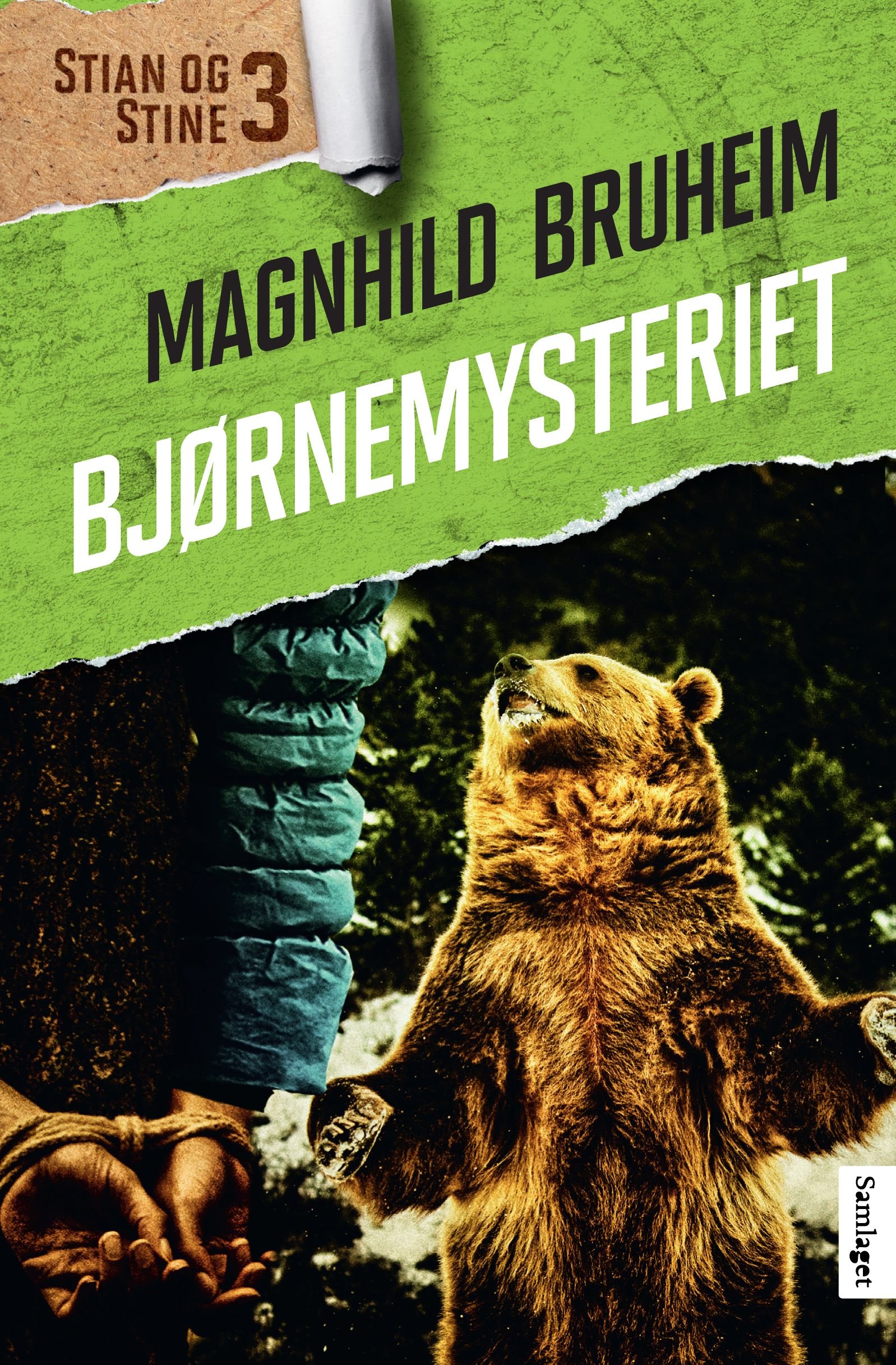 Bjørnemysteriet - roman