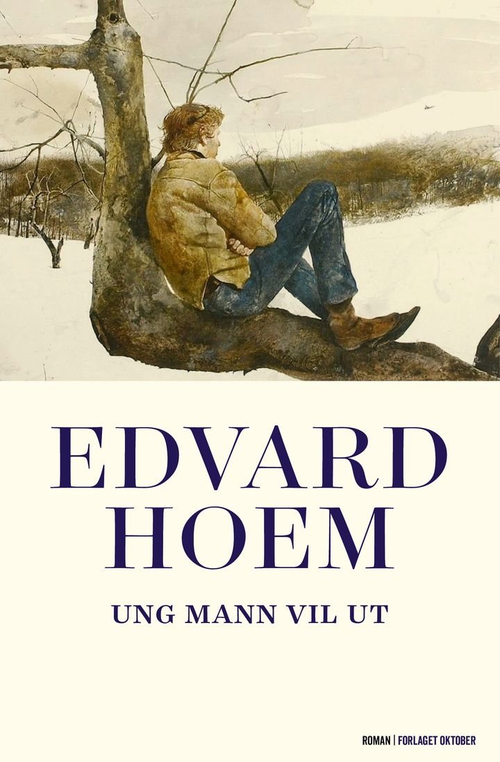Ung mann vil ut - roman