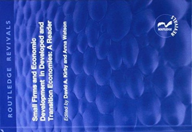 Small Firms and Economic Development in Developed and Transition Economies
