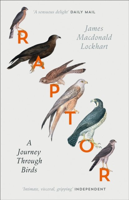 RAPTOR PB