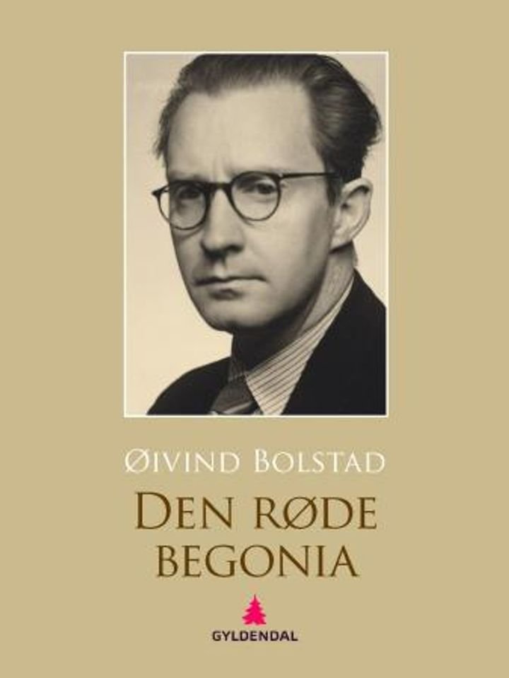 Den røde begonia