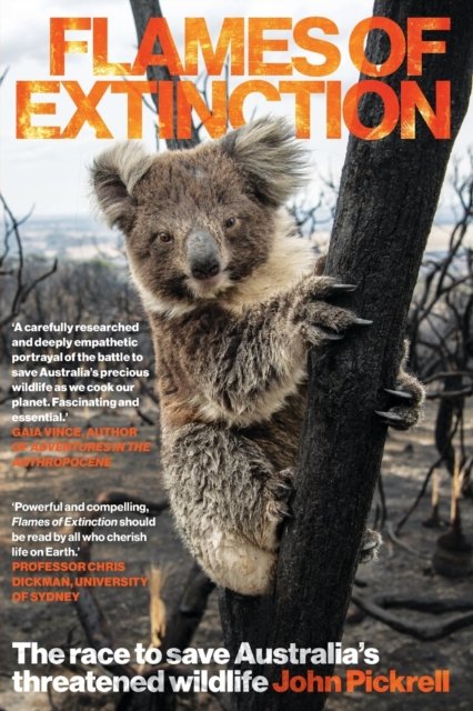 Flames of Extinction