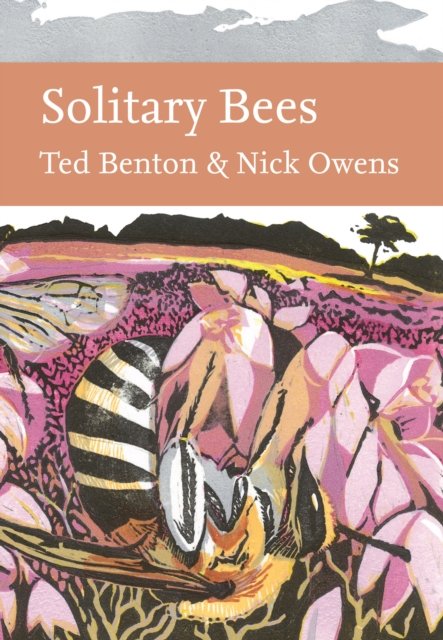 SOLITARY BEES_NN LIB146 HB