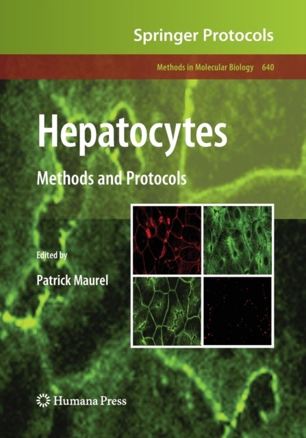 Hepatocytes