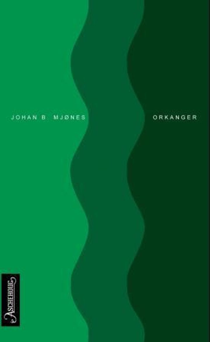 Orkanger - roman