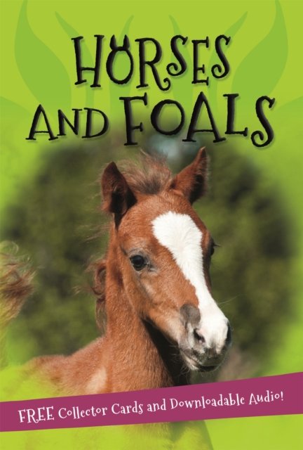 It''s all about... Horses and Foals