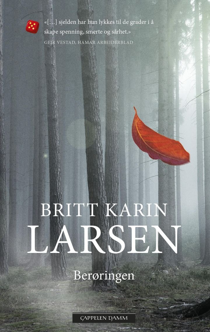 Berøringen - roman