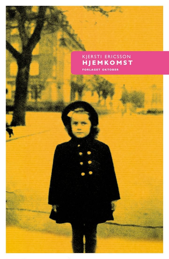 Hjemkomst - roman