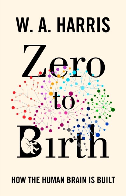 Zero to Birth – How the Human Brain Is Built