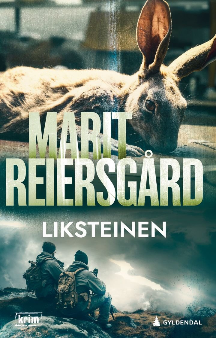 Liksteinen - kriminalroman