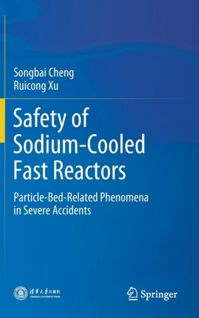 Safety of Sodium-Cooled Fast Reactors