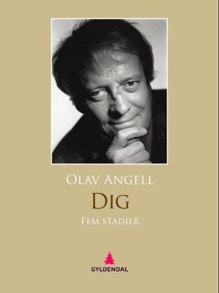 Dig - fem stadier