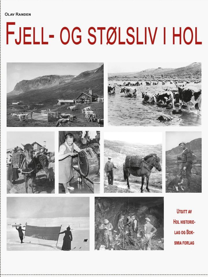 Fjell- og stølsliv i Hol
