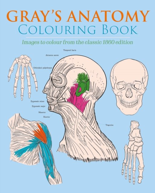 Gray''s Anatomy Colouring Book