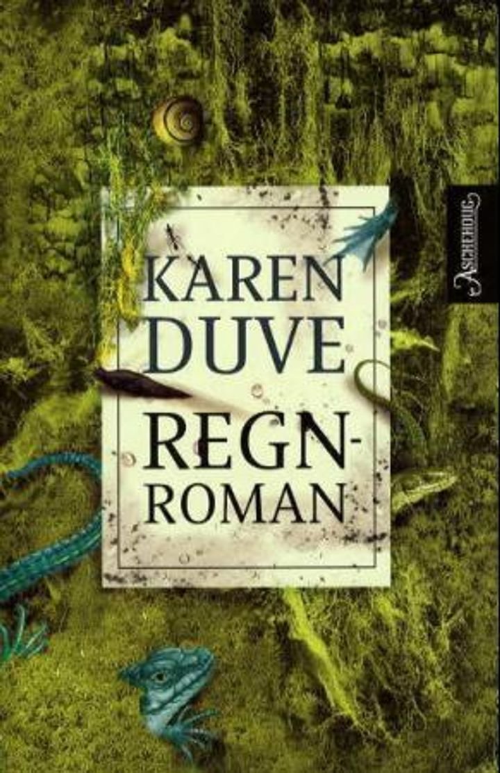 Regnroman