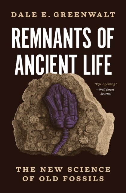Remnants of Ancient Life – The New Science of Old Fossils