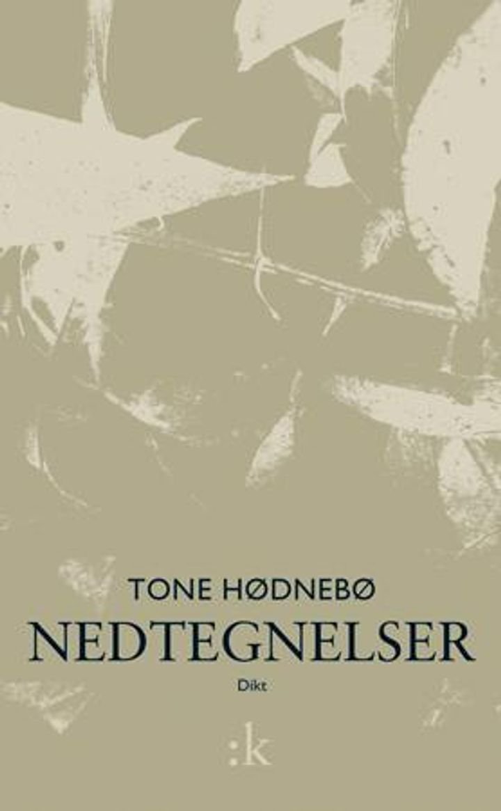 Nedtegnelser - dikt
