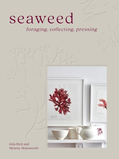 SEAWEED PLC
