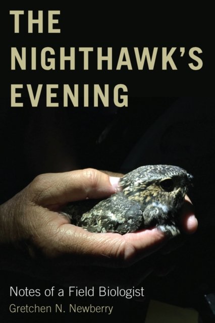 The Nighthawk''s Evening