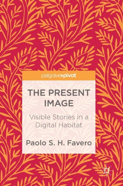 The Present Image