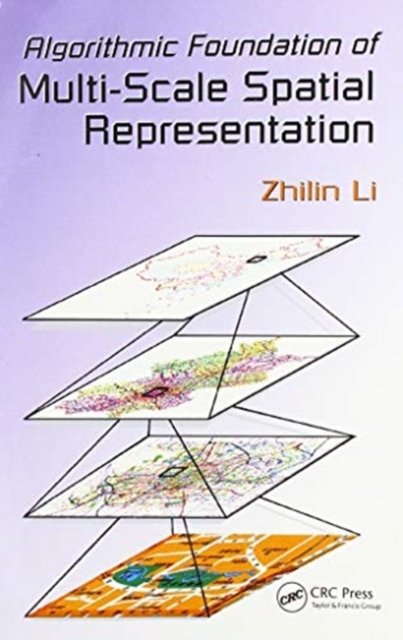 Algorithmic Foundation of Multi-Scale Spatial Representation