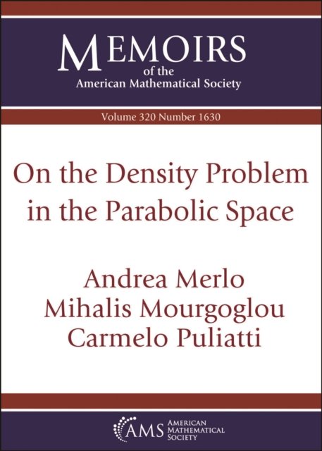On the Density Problem in the Parabolic Space