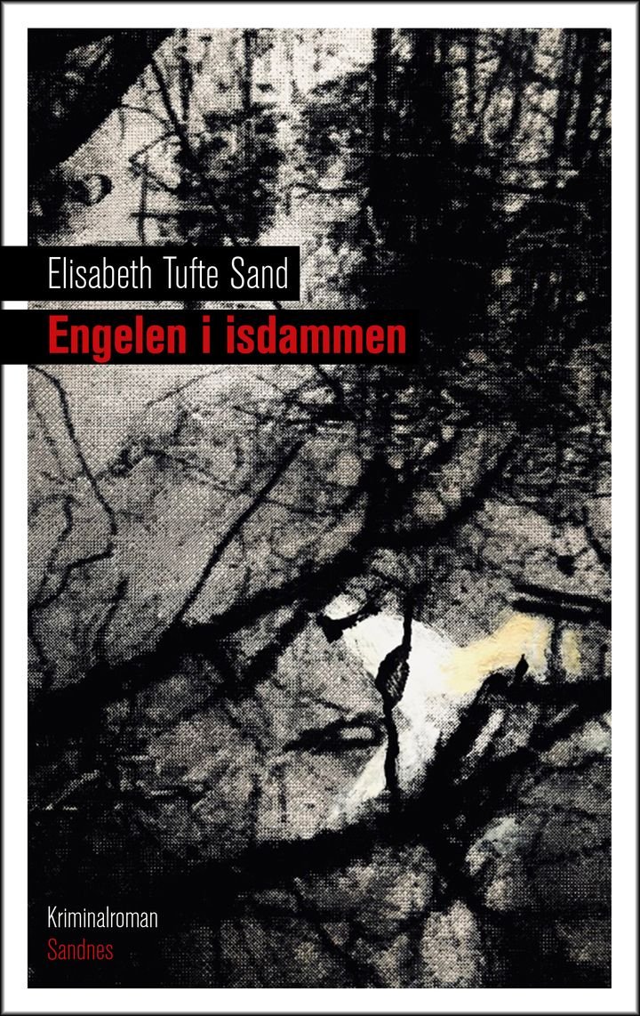 Engelen i isdammen - kriminalroman