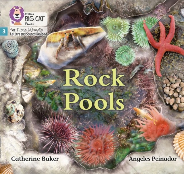 BIG CAT LW L&S _ROCK POOLS