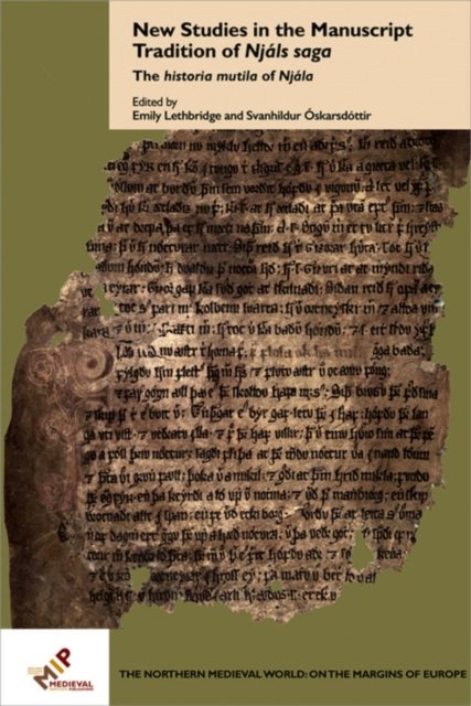 New Studies in the Manuscript Tradition of Njals saga