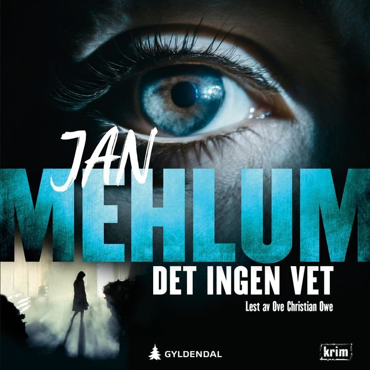 Det ingen vet - en Svend Foyn-roman