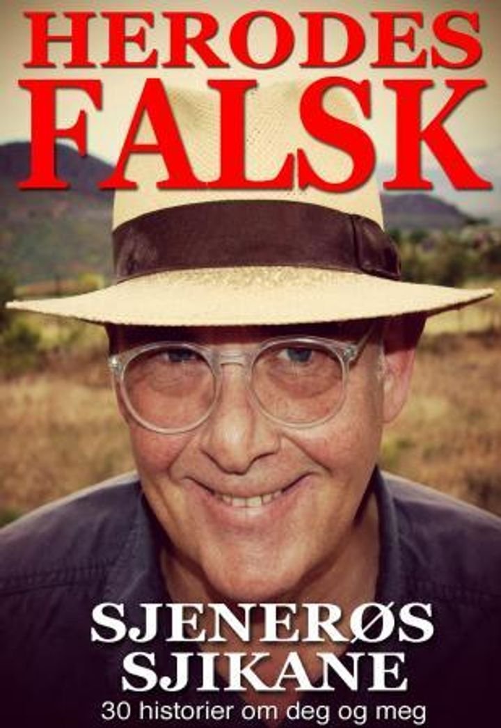 Sjenerøs sjikane - 30 historier om deg og meg