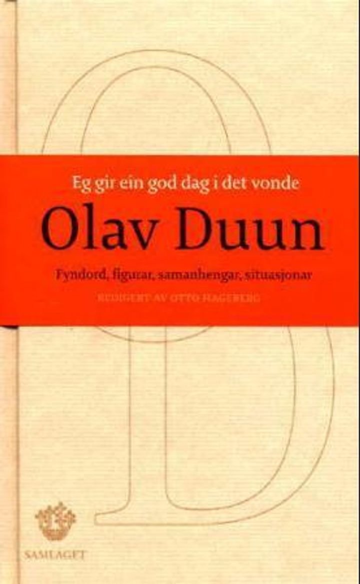 Eg gir ein god dag i det vonde - fyndord, figurar, samanhenger, situasjonar